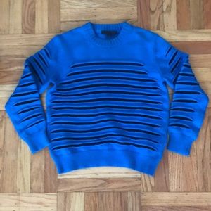 Royal blue Alexander Wang sweater